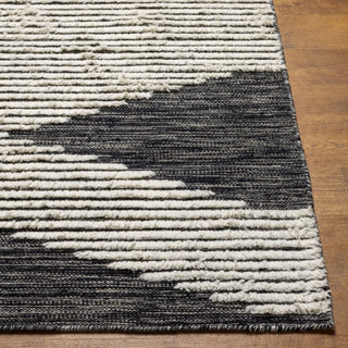 Surya Apache APA-2311 Area Rug Close Up