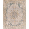 Livabliss Aspendos APS-2303 Area Rug