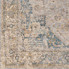 Livabliss Aspendos APS-2303 Area Rug