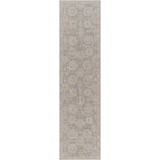 Surya Avant Garde AVT-2335 Area Rug  2'7x10' Runner 