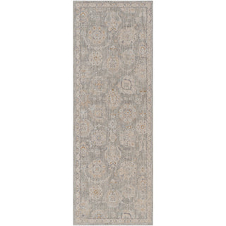 Surya Avant Garde AVT-2335 Area Rug 2'7x7'3'' Runner 