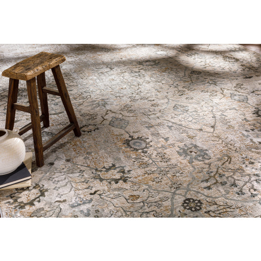 Surya Brunswick BWK2311 Area Rug Incredible Rugs and Decor