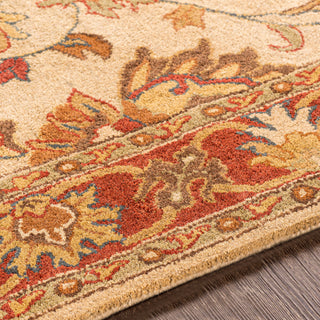 Surya Caesar CAE-1001 Area Rug Texture 