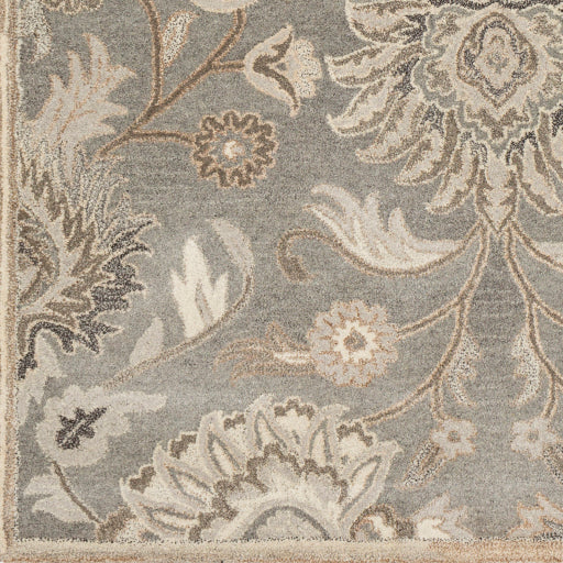 Surya Caesar CAE-1195 Area Rug 18" Sample Swatch 