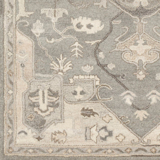 Surya Caesar CAE-1196 Area Rug 18" Sample Swatch 