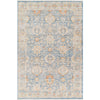 Surya Chicago CHG-2310 Area Rug Main Image 5'3"x7'9" 