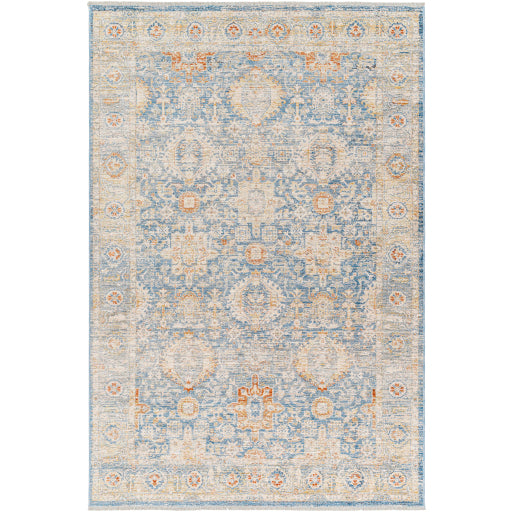 Surya Chicago CHG-2310 Area Rug Main Image 5'3"x7'9" 