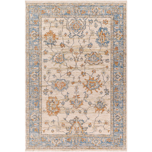 Surya Chicago CHG-2311 Area Rug Main Image 5'3"x7'9"