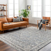 Surya Chicago CHG-2315 Area Rug Room Scene Featured 
