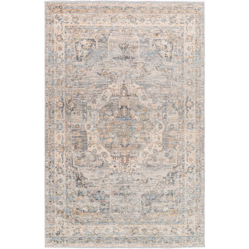 Surya Chicago CHG-2317 Area Rug Main Image 5'3"x7'9"