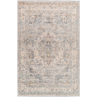 Surya Chicago CHG-2317 Area Rug Main Image 5'3"x7'9"