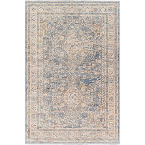 Surya Chicago CHG-2318 Area Rug Main Image 5'3"x7'9" 