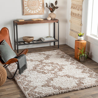 Surya Capella Shag CPS-2305 Area Rug Room Scene Featured 