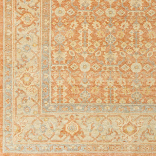 Surya Hamadan HAM-2301 Area Rug Corner 