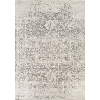 Surya Harput HAP-1024 Area Rug 9'3"x12'6" Size 