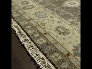 Jaipur Living Anise Princeton ANS01 Tan/Light Blue Area Rug - Video