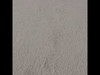 Jaipur Living Paulo Serra PLO02 Ivory Area Rug Video Image