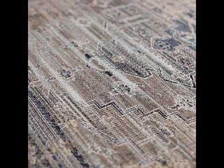 Jaipur Living Polaris Cicero POL41 Taupe/Blue Area Rug Video Image