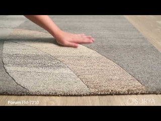 Surya Forum FM-7210 Area Rug Product Video 