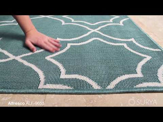 Surya Alfresco ALF-9653 Area Rug Video 