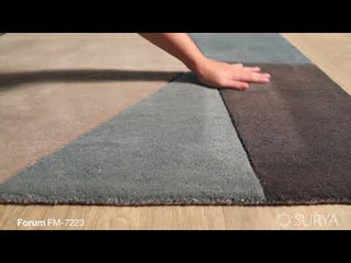 Surya Forum FM-7223 Area Rug Product Video 