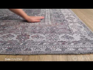 Surya Colin CLN-2304 Area Rug Video 