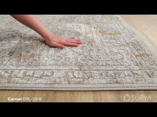 Surya Carmel CRL-2318 Area Rug Product Video 