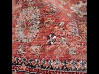 Jaipur Living Zefira Razia ZFA13 Red/Black Area Rug - Video