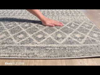 Surya Elaziz ELZ-2308 Area Rug Product Video 