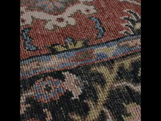 Jaipur Living Salinas Aika SLN02 Red/Multicolor Area Rug Video Image