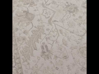 Jaipur Living Vienne Lucien VNE06 Cream/Light Gray Area Rug Video Image