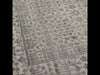 Jaipur Living Gaia Arinna GAI02 Gray/Light Blue Area Rug - Video