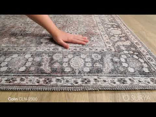 Surya Colin CLN-2300 Area Rug Video