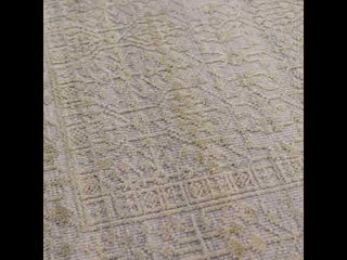 Jaipur Living Gaia Arinna GAI04 Beige/Gray Area Rug - Video