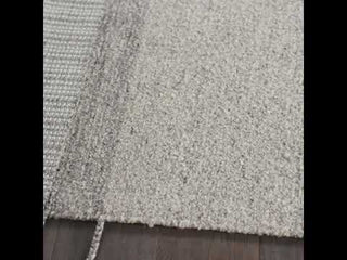 Jaipur Living Nazca Coolidge NAZ02 Gray/ Area Rug - Video