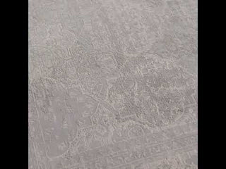 Jaipur Living Vienne Lourdes VNE09 Gray/Cream Area Rug Video Image