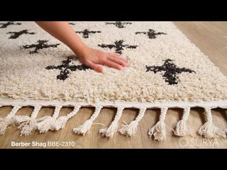 Surya Berber Shag BBE-2310 Area Rug Video 