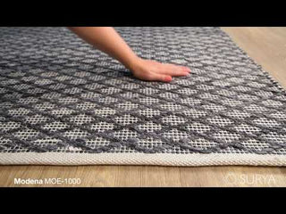 Surya Modena MOE-1000 Area Rug Video 