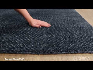 Surya Parma PMA-2300 Area Rug Video 