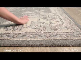 Surya Caesar CAE-1196 Area Rug Product Video 