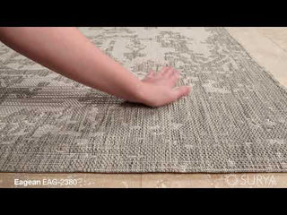 Surya Eagean EAG-2380 Area Rug Video