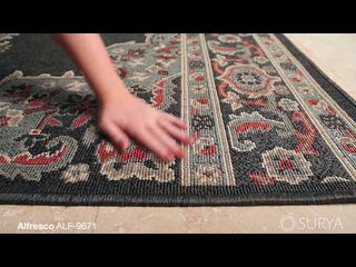 Surya Alfresco ALF-9671 Area Rug Video 