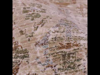 Jaipur Living Zefira Luana ZFA01 Beige/Rust Area Rug - Video