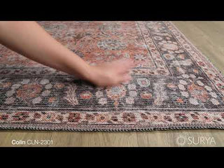 Surya Colin CLN-2301 Area Rug Video