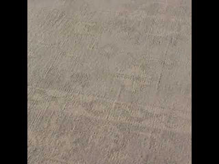 Jaipur Living Eloquent Verity ELQ01 Gray/Cream Area Rug Video Image