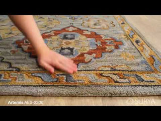 Surya Artemis AES-2300 Area Rug Product Video 