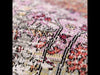 Jaipur Living Polaris Genesee POL46 Multicolor/Pink Area Rug Video Image