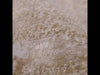 Jaipur Living En Blanc Evanthe EBC03 Gold/Ivory Area Rug by Vibe Video Image