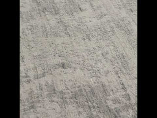 Jaipur Living Genevieve Lizea GNV02 Ivory/Gray Area Rug - Video