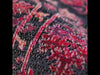 Jaipur Living Polaris Genesee POL45 Red/Blue Area Rug Video Image
